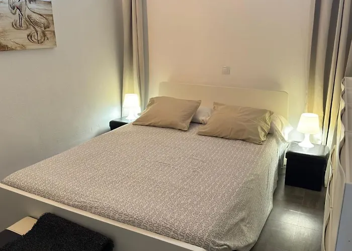 Daire Aloe New Excellence