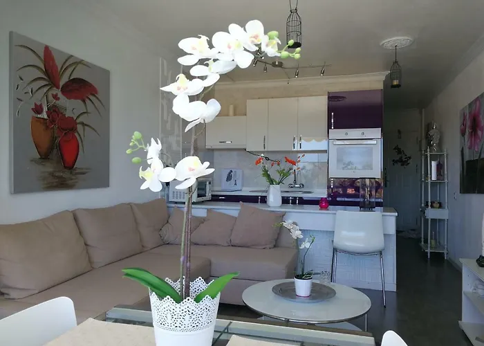 Daire Aloe New Excellence